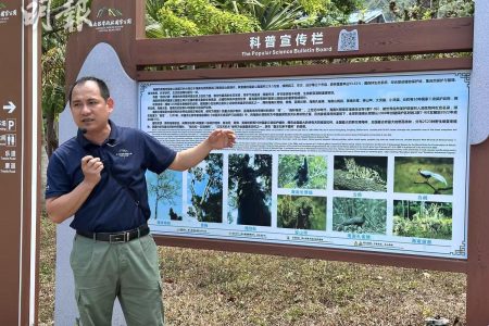 從雨林破碎到森林覆蓋95%  海南長臂猿繁衍增至42隻 (00:49) – 20250413 – 兩岸