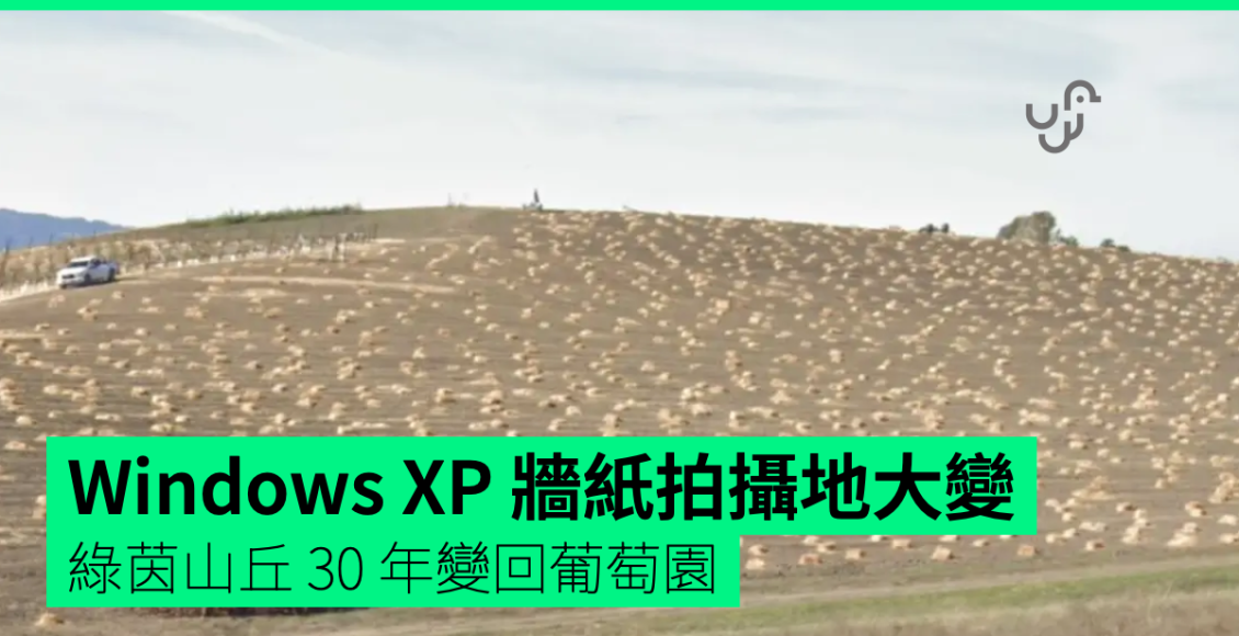 windows-xp-牆紙拍攝地大變-綠茵山丘-30-年變回葡萄園